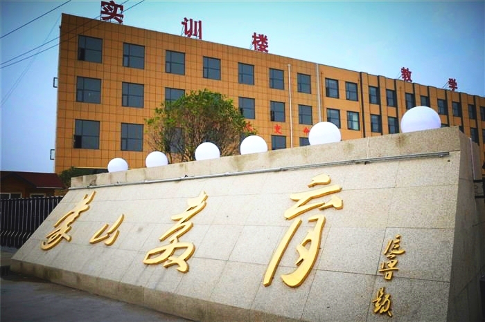 蒙山职业技术培训学校，新时代技能人才的培育摇篮