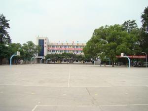 泸县职业技术培训学校，培养新时代技术人才的摇篮
