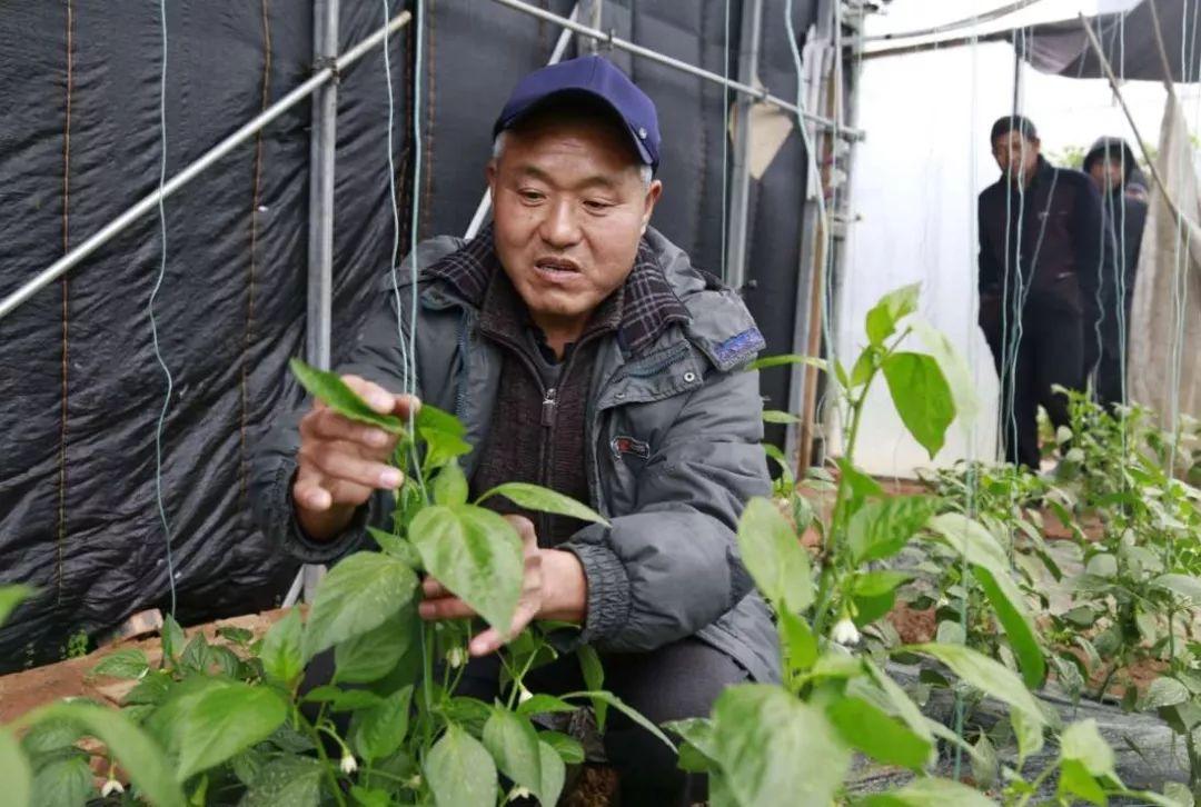 保靖职业技术培训学校，培养新时代人才的摇篮