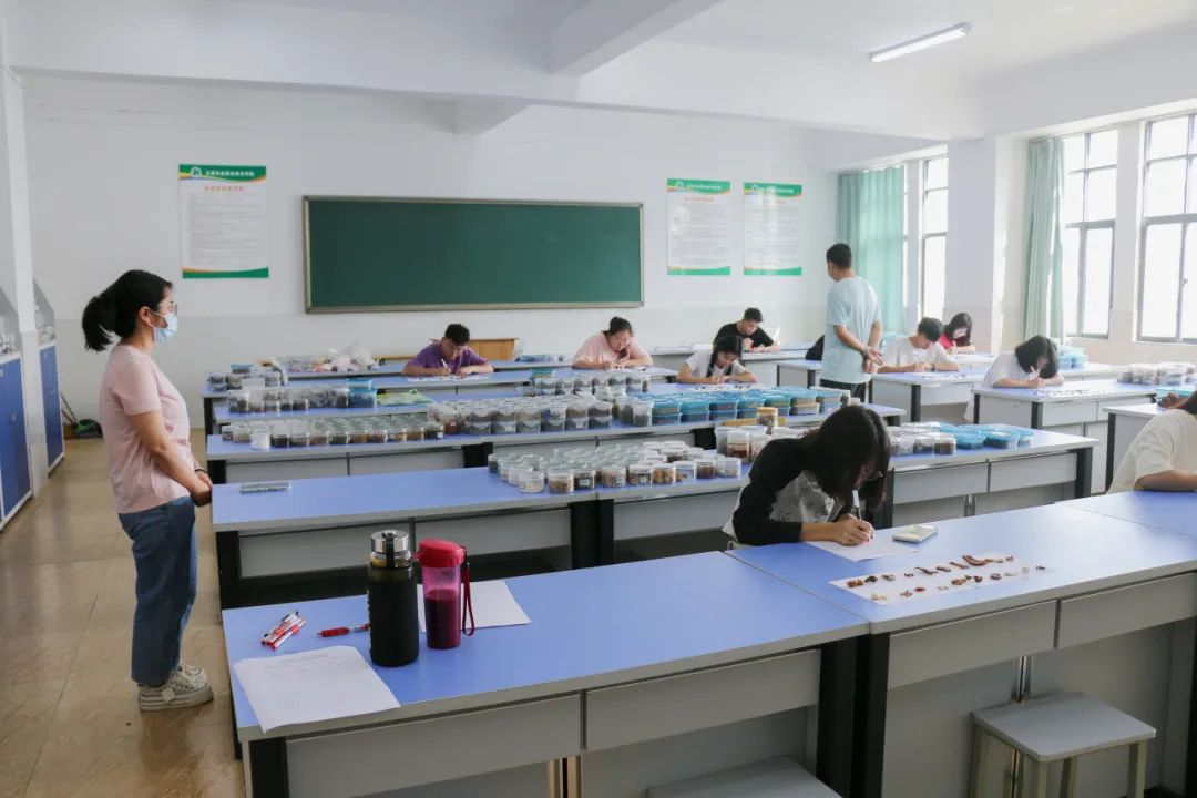 玉溪职业技术培训学校，培养新时代技术人才的摇篮
