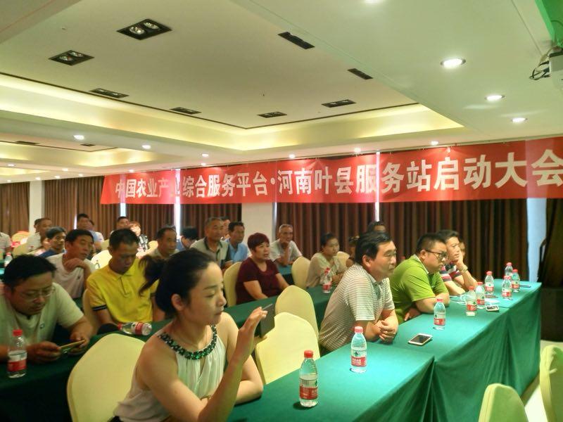 叶县职业技术培训学校，新时代技术人才的培育摇篮