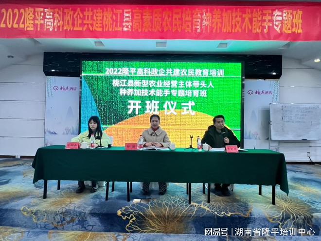 桃江职业技术培训学校，孕育技术精英的摇篮