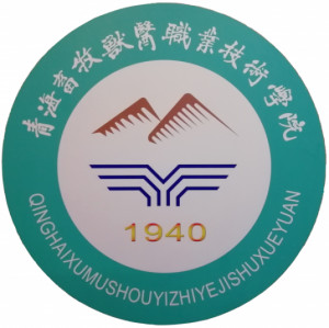 青海职业技术培训学校的崛起与发展