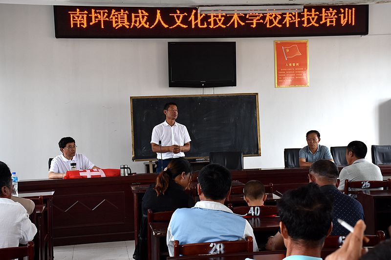南坪职业技术培训学校，培养新时代人才的摇篮