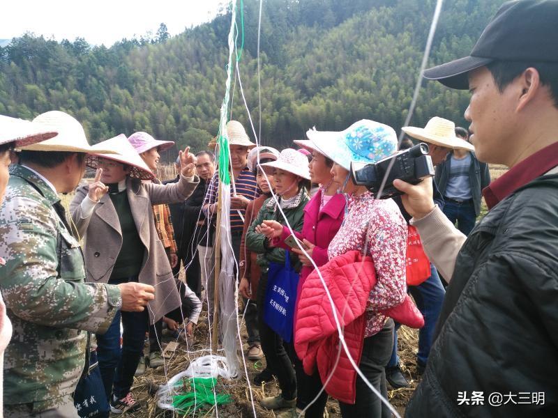 永安职业技术培训学校，新时代技能人才的摇篮之路