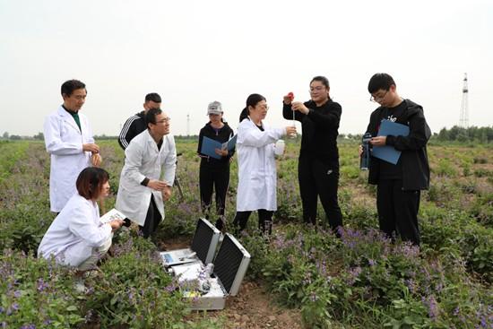 东营职业技术培训学校，培养新时代人才的摇篮