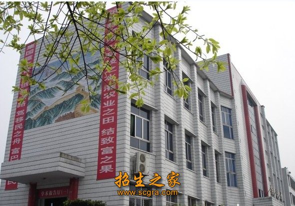 永川职业技术培训学校，培养新时代技能人才的摇篮
