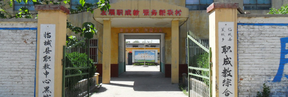 临城职业技术培训学校，新时代人才的摇篮培育地