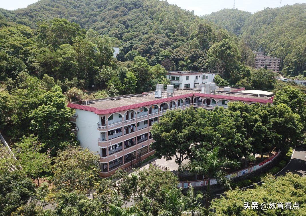 职业技术培训学校章程详解