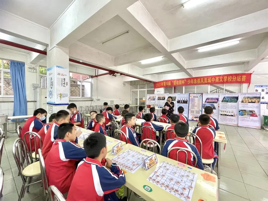 象棋职业技术培训学校，培育新一代象棋高手的摇篮