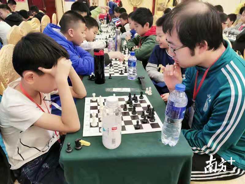 象棋职业技术培训学校，培养新一代象棋高手的摇篮