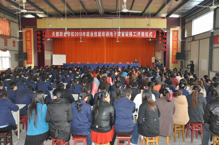 天鹅职业技术培训学校，培育未来职业技能精英的摇篮