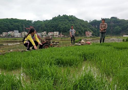 专业职业技术培训学校，培养新时代技能人才的摇篮