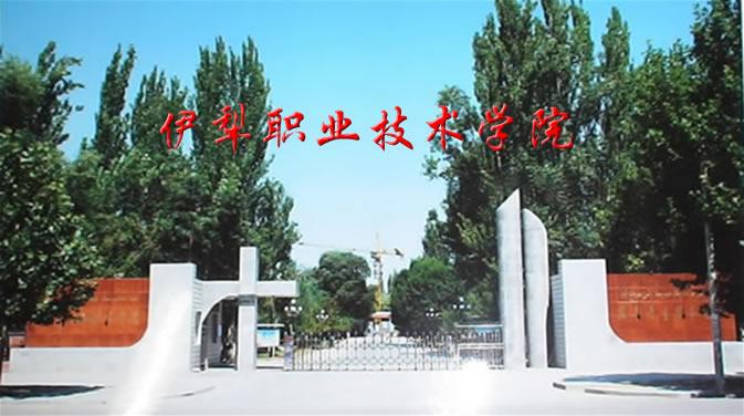 伊犁职业技术培训学校，新时代技能人才的摇篮之路