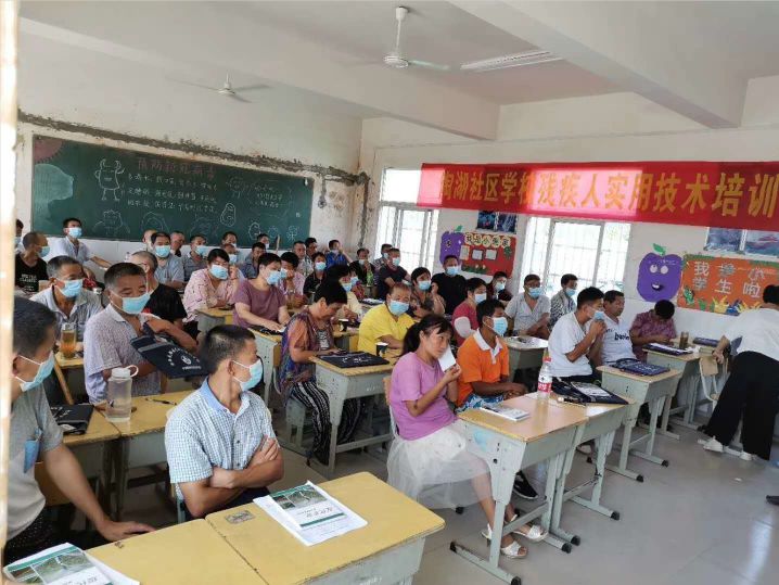 肥西职业技术培训学校，培养新时代技术人才的摇篮