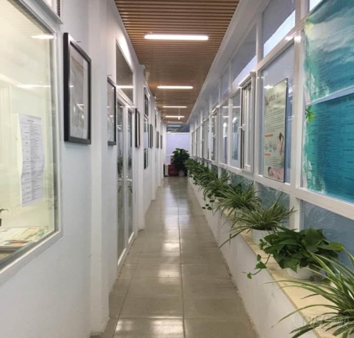 华佗职业技术培训学校，培育新时代医疗人才的摇篮