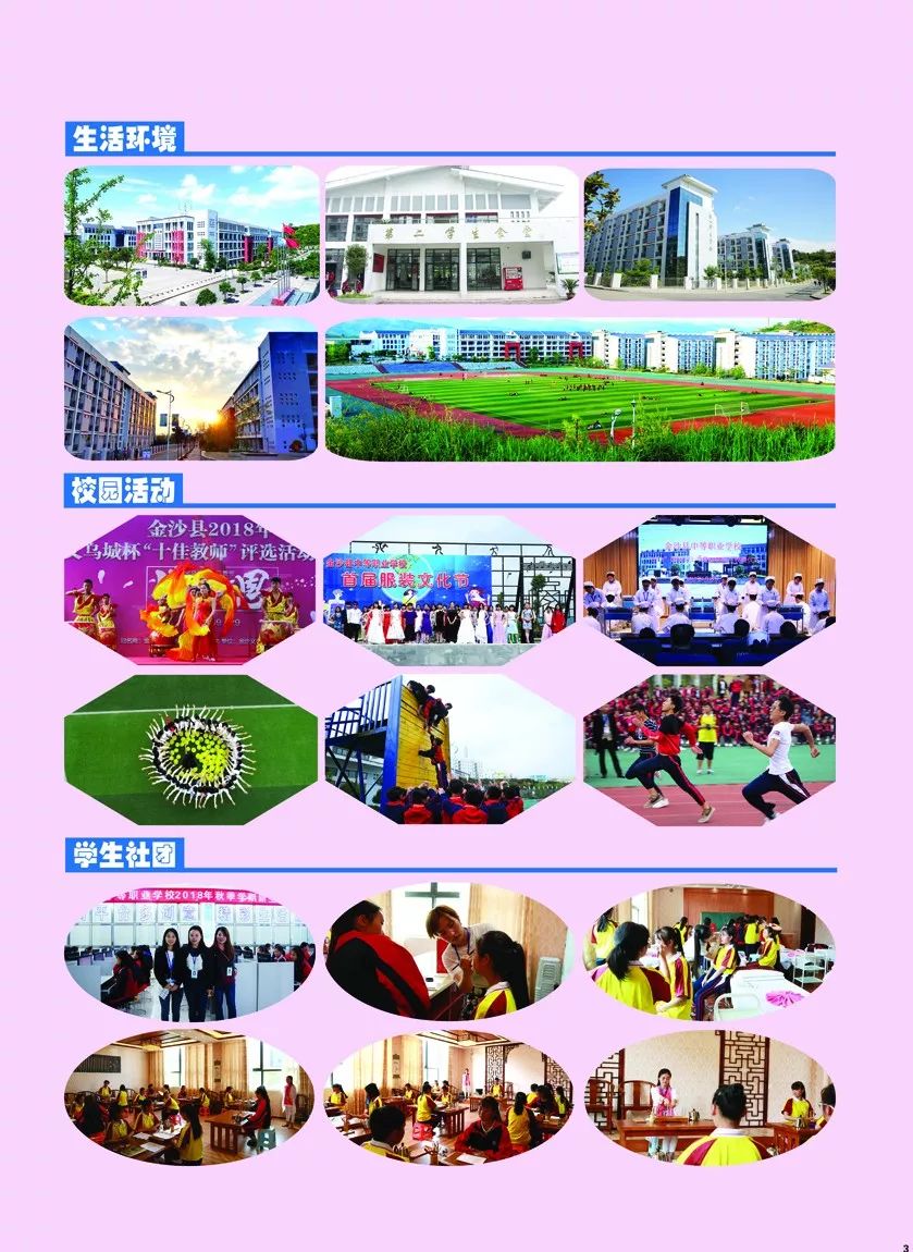 金沙职业技术培训学校，培养新时代人才的摇篮