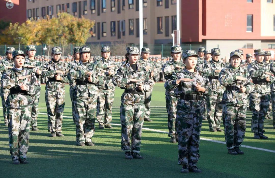职业技术培训学校年度工作总结报告，回顾与反思