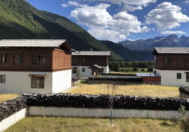 林芝职业技术培训学校，培养新时代人才的摇篮