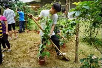 清远职业技术培训学校，培养新时代人才的摇篮