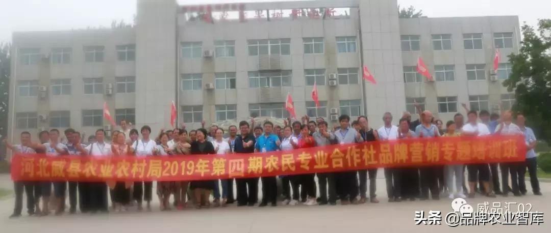 定州职业技术培训学校，培养新时代人才的摇篮