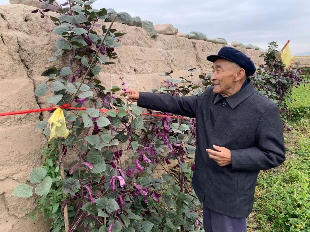 清溪职业技术培训学校，新时代人才的摇篮培育地