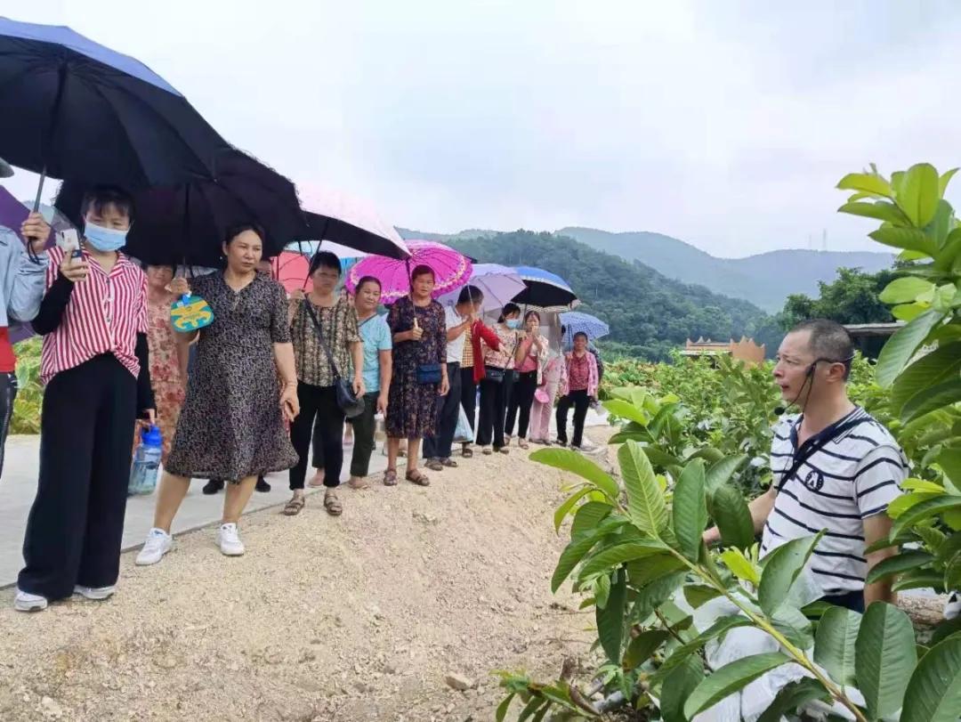 振兴职业技术培训学校，培养新时代人才的摇篮