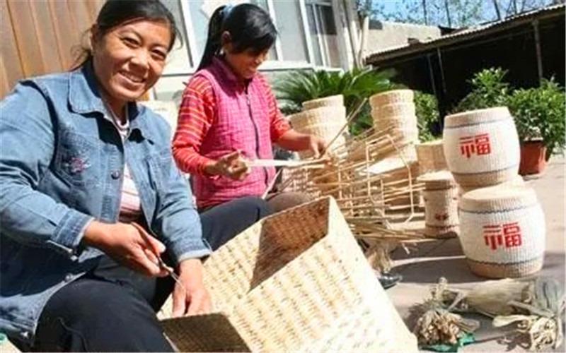 养猪职业技术培训学校，培育新时代猪业精英人才