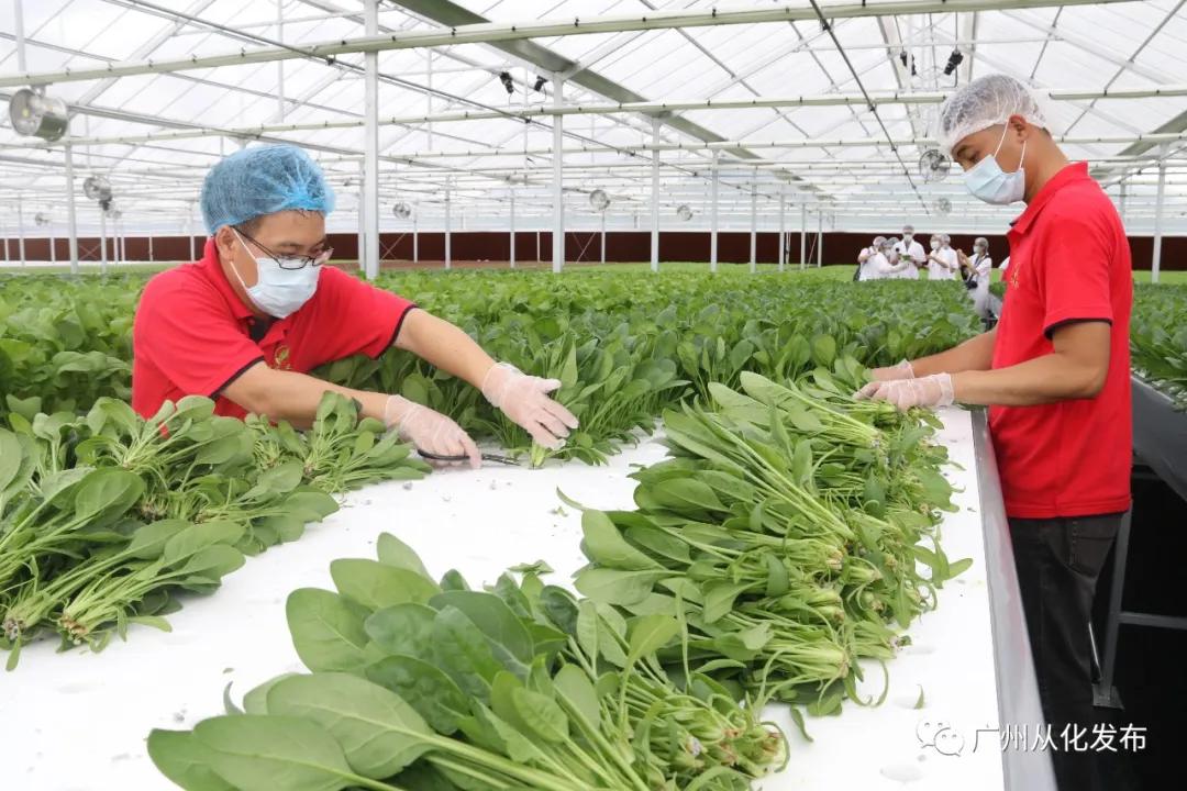华瑞职业技术培训学校，培养新时代人才的摇篮