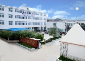 沈丘职业技术培训学校，培养新时代技能人才的摇篮