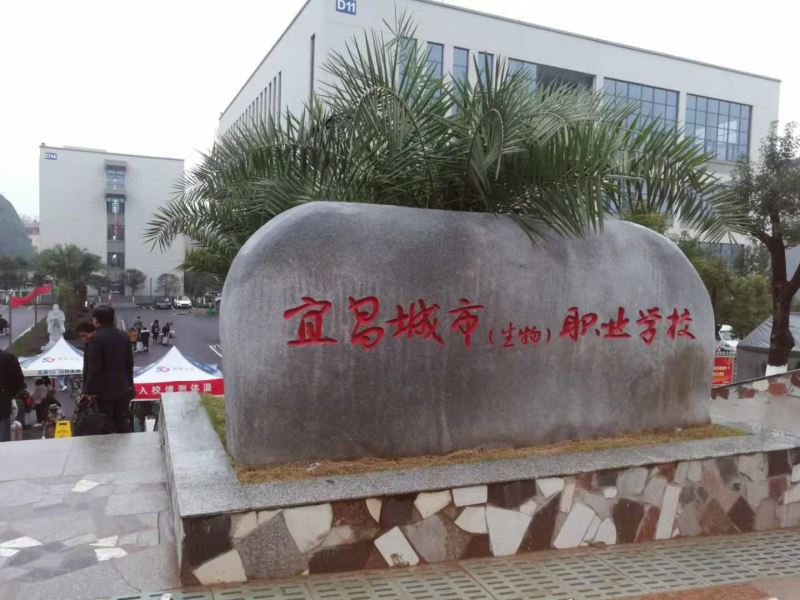 宜昌职业技术培训学校，新时代人才的摇篮之地