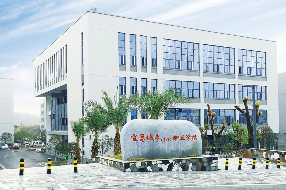 宜昌职业技术培训学校，培养新时代人才的摇篮