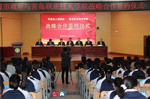 政府职业技术培训学校，培养新时代技能人才的关键力量