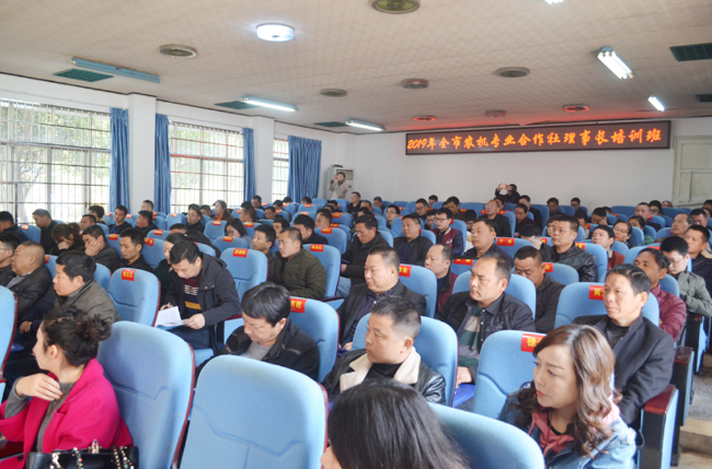 常德职业技术培训学校，培养新时代技术人才的摇篮