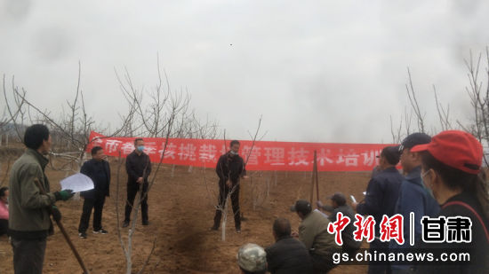 华亭职业技术培训学校，培养新时代人才的摇篮