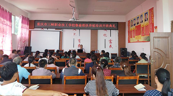 丰都职业技术培训学校，培养新时代人才的摇篮