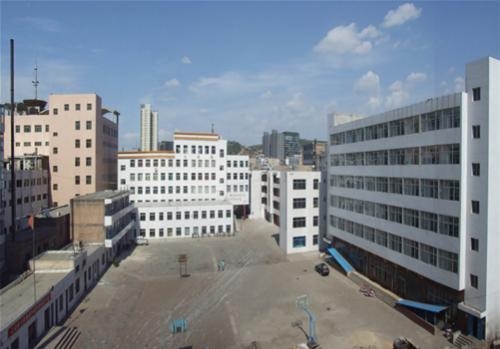 柳林职业技术培训学校，培养新时代人才的摇篮