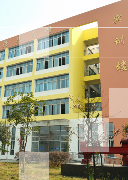 崇州职业技术培训学校，培养未来技术精英的摇篮