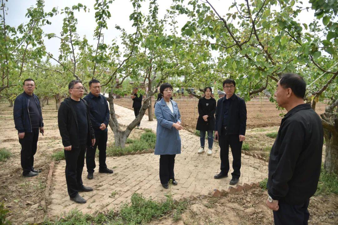 霍州职业技术培训学校，新时代人才的摇篮