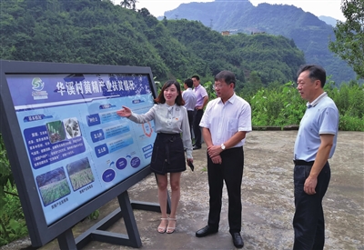 石柱职业技术培训学校，新时代人才的摇篮培育地