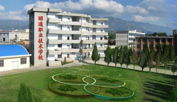 昭通职业技术培训学校，培养新时代技术人才的摇篮
