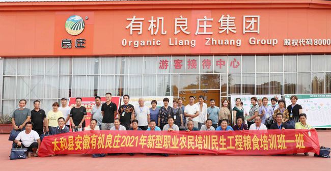 太和职业技术培训学校，培养实用人才的摇篮