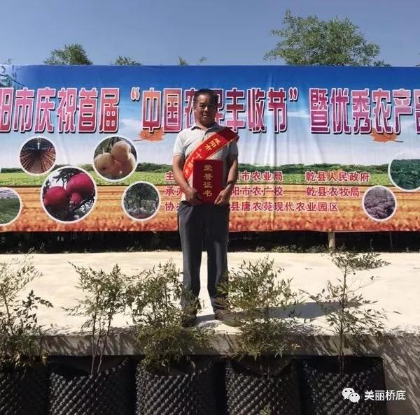 果树职业技术培训学校，培育果树管理精英的摇篮