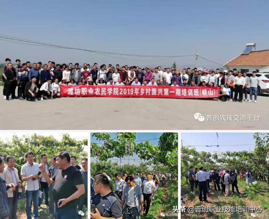 果树职业技术培训学校，培育果树管理精英的摇篮
