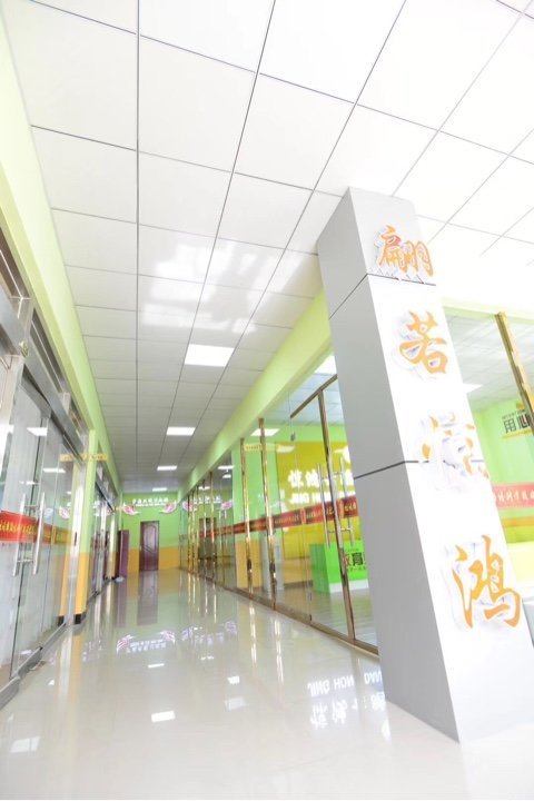 惊鸿职业技术培训学校，塑造未来的职业技能摇篮