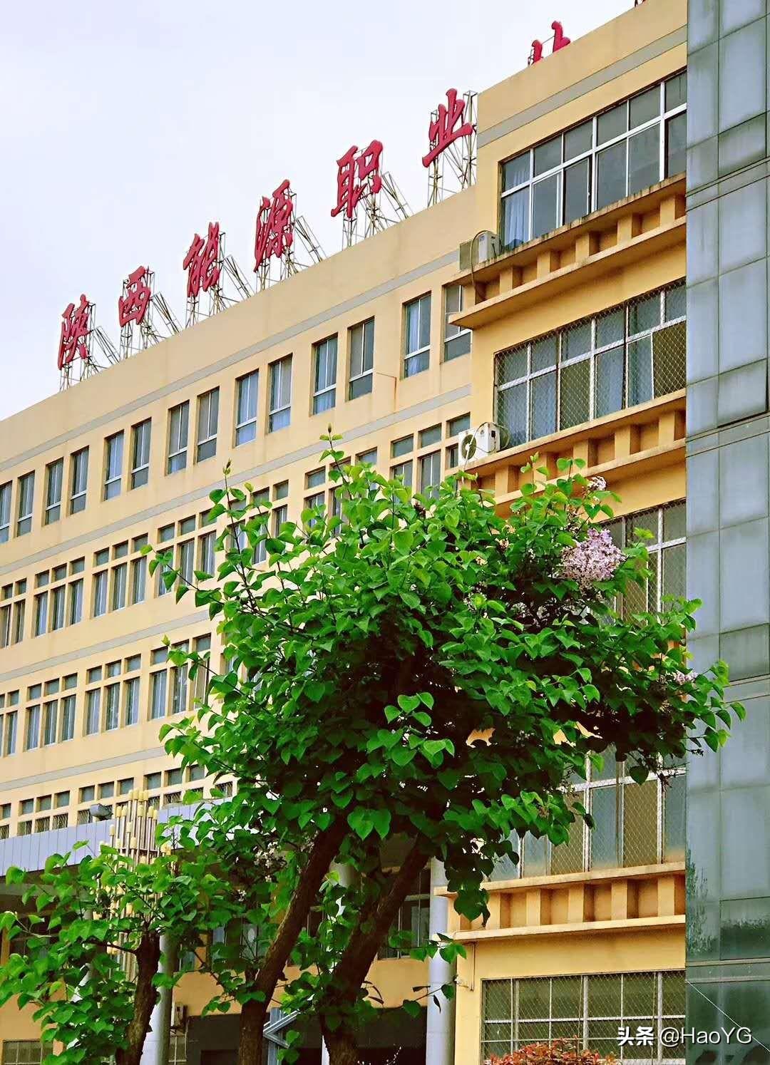 陕西职业技术培训学校，培养新时代人才的摇篮