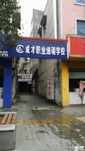 成才职业技术培训学校，培育职业精英的摇篮