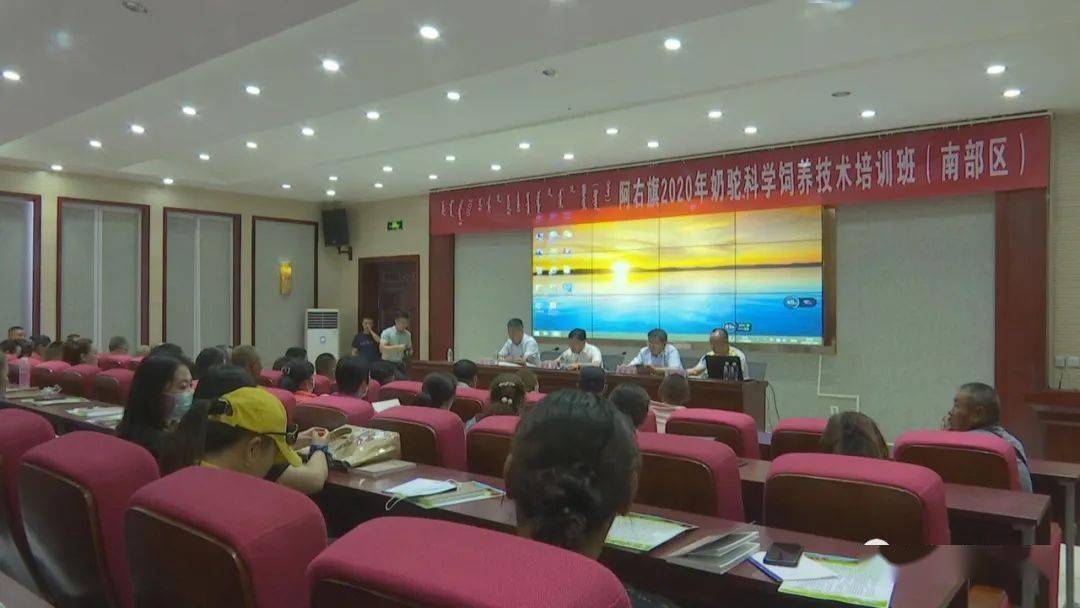 骆驼职业技术培训学校，新时代技术人才的摇篮培育地