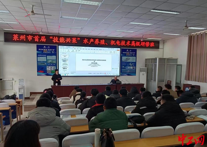 职业技术培训学校，培养实用型人才的摇篮