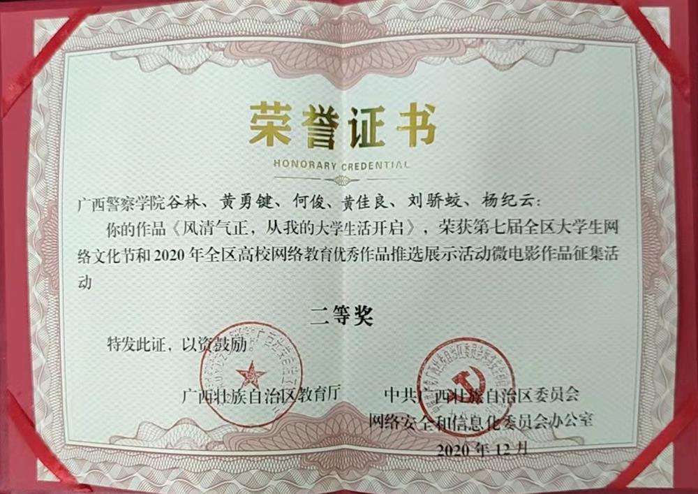 我校在第十届全区大学生网络文化节及网络教育优秀作品推选展中荣获辉煌成就